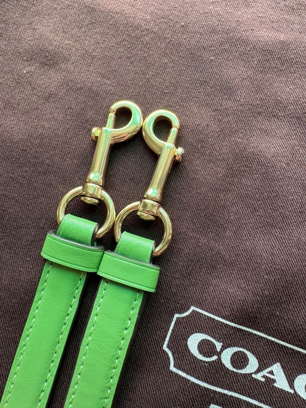 NEW ๐ Coach Apple Green Leather Adjustable Crossbody Replacement Strap - Picture 13 of 15